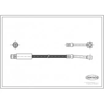 Flexible de frein CORTECO 19031681