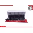Bobine d'allumage ESEN SKV 03SKV111 - Visuel 1