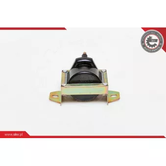 Bobine d'allumage ESEN SKV 03SKV119