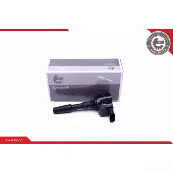 Bobine d'allumage ESEN SKV 03SKV287