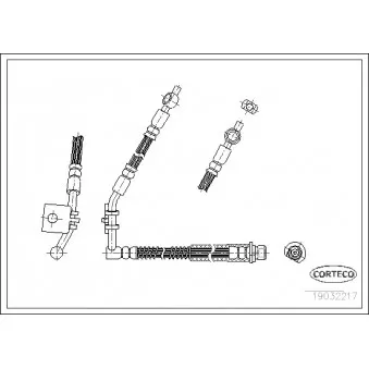 Flexible de frein avant gauche CORTECO 19032217