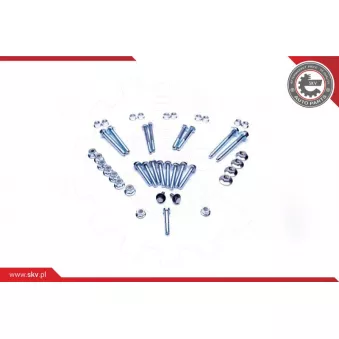 Boulon de fixation, bras transversal ESEN SKV 04SKV111