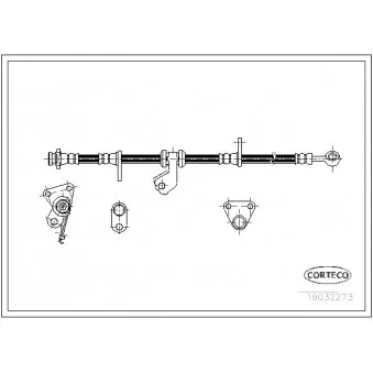 Flexible de frein avant droit CORTECO 19032273