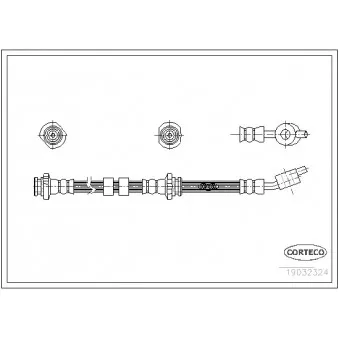 Flexible de frein avant gauche CORTECO 19032324