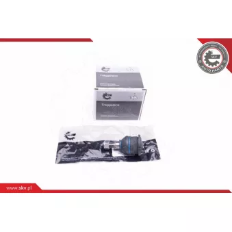 Rotule de suspension ESEN SKV 04SKV603