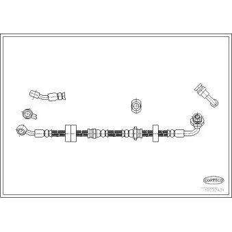 Flexible de frein avant droit CORTECO 19032431