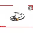 Capteur, vitesse de roue ESEN SKV 06SKV162 - Visuel 2
