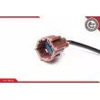Capteur, vitesse de roue ESEN SKV 06SKV206 - Visuel 3