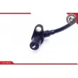 Capteur, vitesse de roue ESEN SKV 06SKV217 - Visuel 3