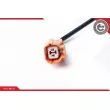 Capteur, vitesse de roue ESEN SKV 06SKV226 - Visuel 3
