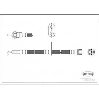 Flexible de frein avant droit CORTECO 19032583