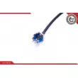 Capteur, vitesse de roue ESEN SKV 06SKV400 - Visuel 3