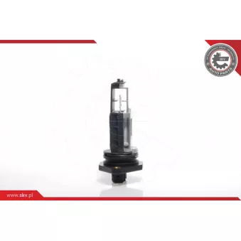 Débitmètre de masse d'air ESEN SKV 07SKV002
