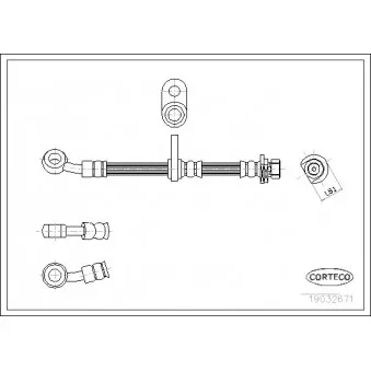 Flexible de frein avant gauche CORTECO 19032671