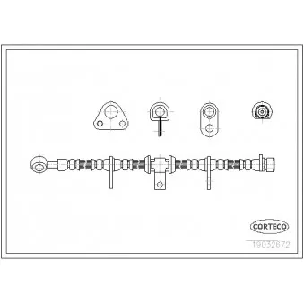 Flexible de frein avant gauche CORTECO 19032672