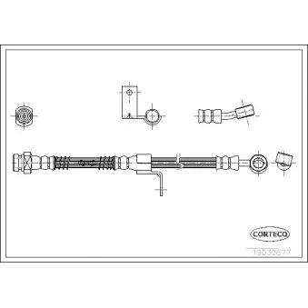 Flexible de frein avant gauche CORTECO 19032677