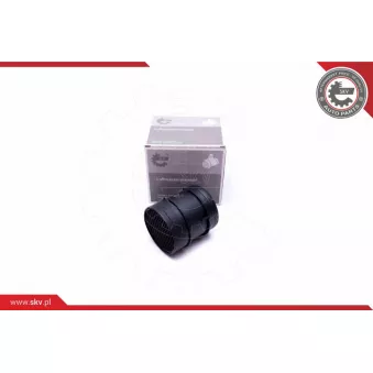 Débitmètre de masse d'air ESEN SKV 07SKV180