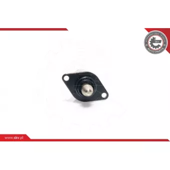 Controle de ralenti, alimentation en air ESEN SKV 08SKV003