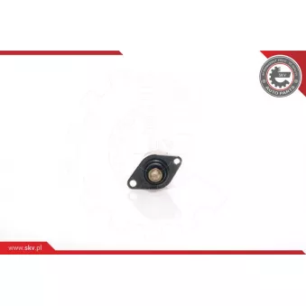 Controle de ralenti, alimentation en air ESEN SKV 08SKV004