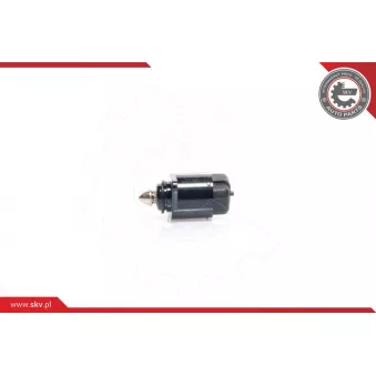 Controle de ralenti, alimentation en air ESEN SKV 08SKV005