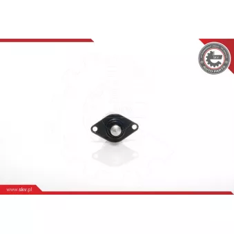 Controle de ralenti, alimentation en air ESEN SKV 08SKV008