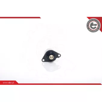 Controle de ralenti, alimentation en air ESEN SKV 08SKV017