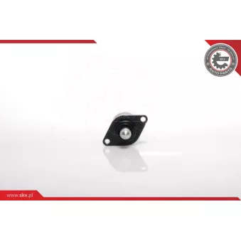 Controle de ralenti, alimentation en air ESEN SKV 08SKV025