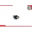 Controle de ralenti, alimentation en air ESEN SKV 08SKV028 - Visuel 1