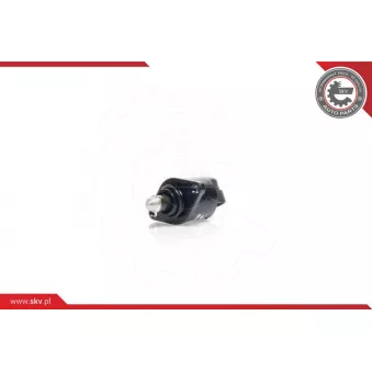 Controle de ralenti, alimentation en air ESEN SKV 08SKV029