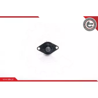 Controle de ralenti, alimentation en air ESEN SKV 08SKV033