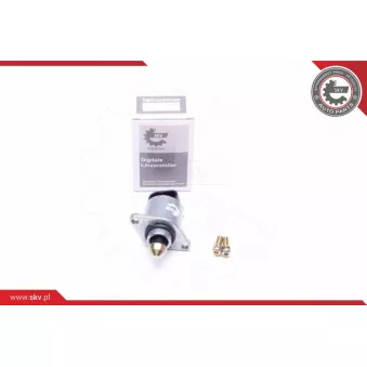 Controle de ralenti, alimentation en air ESEN SKV