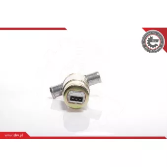 Controle de ralenti, alimentation en air ESEN SKV 08SKV207