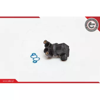 Controle de ralenti, alimentation en air ESEN SKV 08SKV208