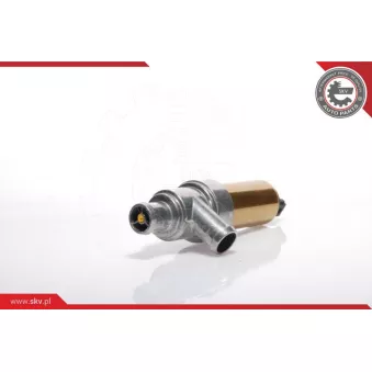 Controle de ralenti, alimentation en air ESEN SKV 08SKV211