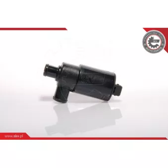 Controle de ralenti, alimentation en air ESEN SKV 08SKV213