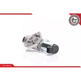Controle de ralenti, alimentation en air ESEN SKV 08SKV221