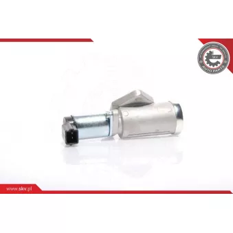 Controle de ralenti, alimentation en air ESEN SKV 08SKV229