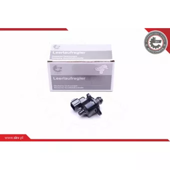 Controle de ralenti, alimentation en air ESEN SKV 08SKV239
