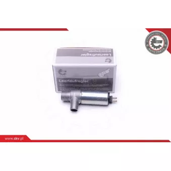 Controle de ralenti, alimentation en air ESEN SKV 08SKV241