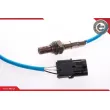 Sonde lambda ESEN SKV 09SKV076 - Visuel 2