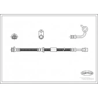 Flexible de frein avant gauche CORTECO 19032894