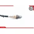Sonde lambda ESEN SKV 09SKV702 - Visuel 3