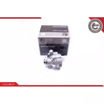 Pompe hydraulique, direction ESEN SKV 10SKV008