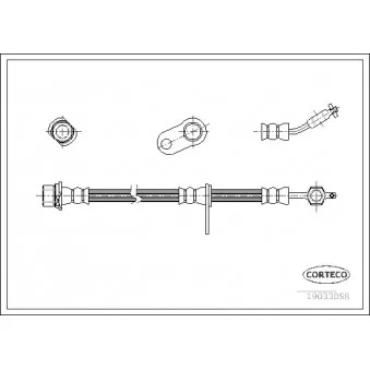 Flexible de frein avant gauche CORTECO 19033058