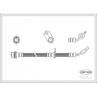 Flexible de frein avant gauche CORTECO 19033101