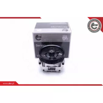 Pompe hydraulique, direction ESEN SKV