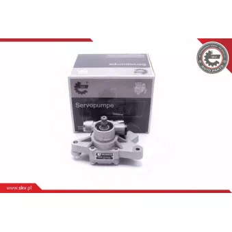 Pompe hydraulique, direction ESEN SKV 10SKV313