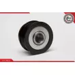 Poulie roue libre, alternateur ESEN SKV 11SKV002 - Visuel 3
