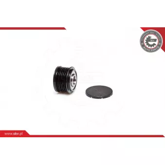 Poulie roue libre, alternateur ESEN SKV 11SKV039