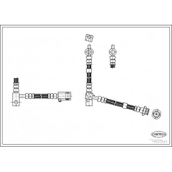 Flexible de frein avant droit CORTECO 19033543